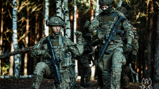 Żołnierze WOT na manewrach