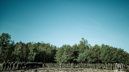 Żołnierze WOT na manewrach