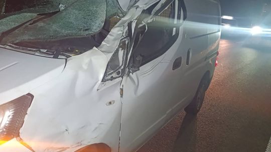 Rozbity samochód dostawczy po zderzeniu ze zwierzęciem