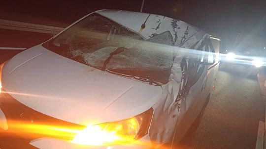 Rozbity samochód dostawczy po zderzeniu ze zwierzęciem