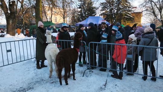 Mędrcy i orszak w drodze za gwiazdą