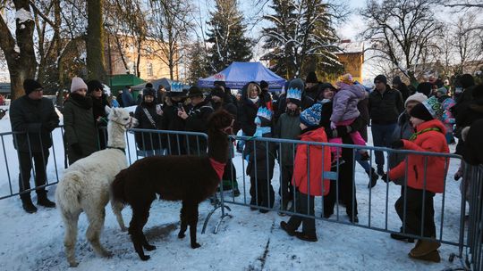 Mędrcy i orszak w drodze za gwiazdą