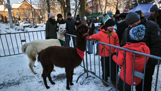 Mędrcy i orszak w drodze za gwiazdą