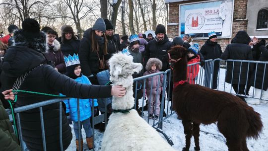 Mędrcy i orszak w drodze za gwiazdą