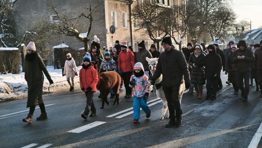 Mędrcy i orszak w drodze za gwiazdą