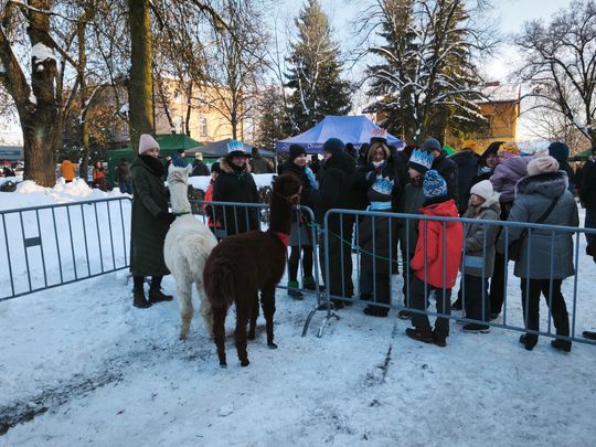 Mędrcy i orszak w drodze za gwiazdą