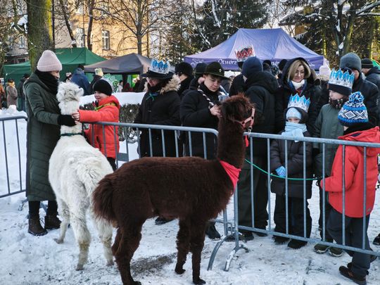 Mędrcy i orszak w drodze za gwiazdą