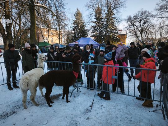 Mędrcy i orszak w drodze za gwiazdą
