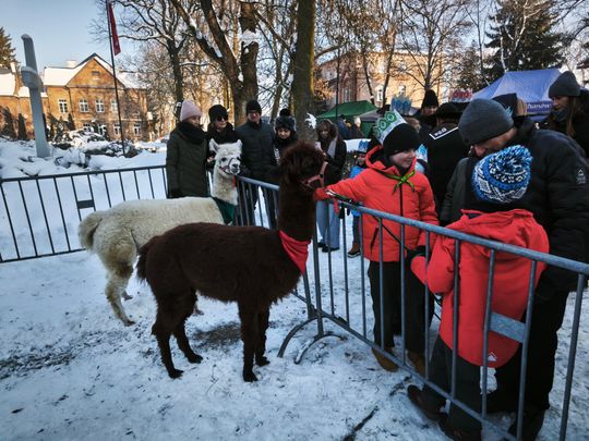 Mędrcy i orszak w drodze za gwiazdą
