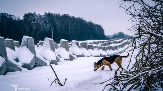 Jak chroni nas Tarcza Wschód? Fortyfikacje - Tarcza Wschód