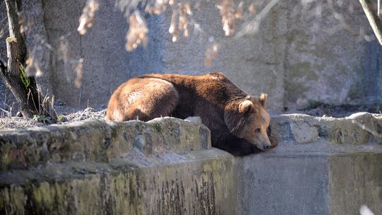 Najczęciej odwiedzane miejsca na Mazowszu