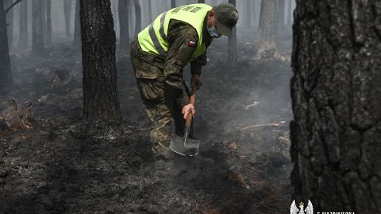 Zdjęcia z akcji gaszenia lasu na Mazowszu
