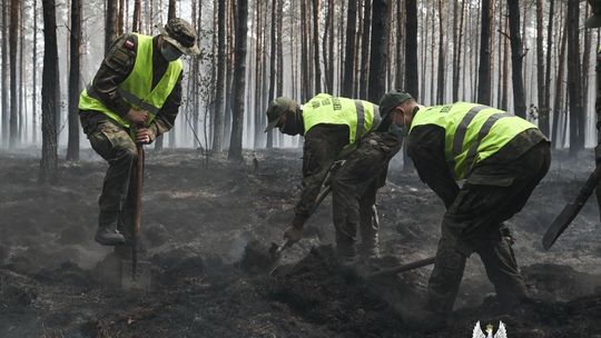 Zdjęcia z akcji gaszenia lasu na Mazowszu