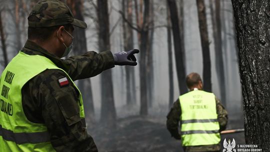 Zdjęcia z akcji gaszenia lasu na Mazowszu