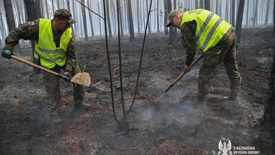 Zdjęcia z akcji gaszenia lasu na Mazowszu