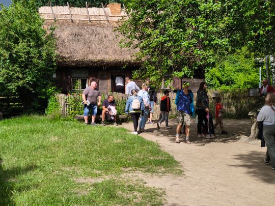 Miodobranie w Sierpcu 2026. Pokazy pszczelarskie i dawne rzemiosło w skansenie